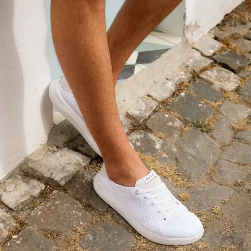 REEF Shoes>Swellsole Neptune White